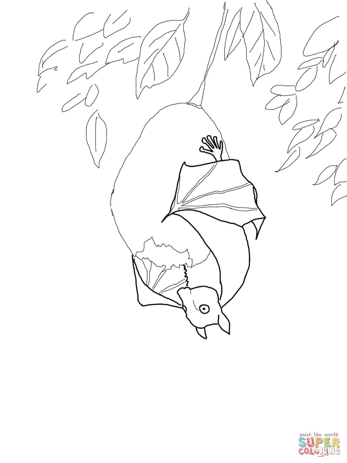 1200x1600 Marvellous Charlotte Web Coloring Pages New Print Page And Book