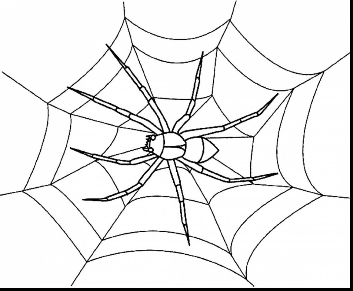 1155x952 Spider Web Coloring Pages 2 Gallery Spider Web Coloring Page Image