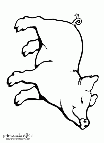 363x500 Charlotte's Web Coloring Pages Fun! Free Printables