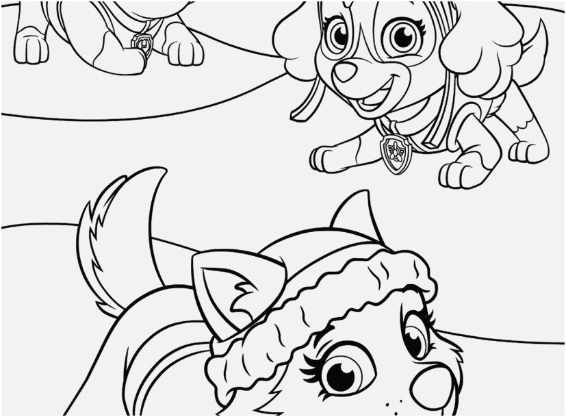 827x609 Chase Coloring Page Pic Paw Patrol Coloring Pages Rubble Chase