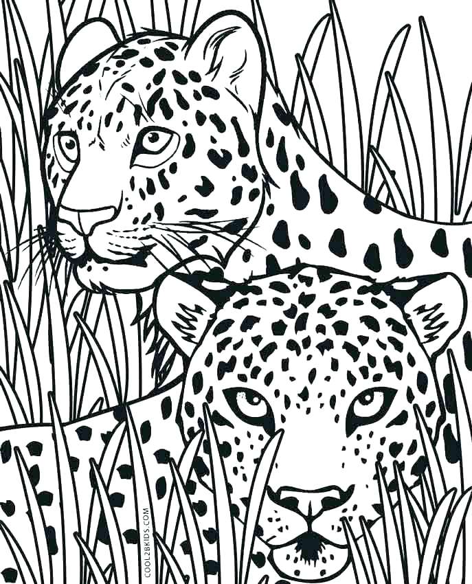 687x850 Coloring Pages Cheetah Back To Post Coloring Book Pages Cheetah