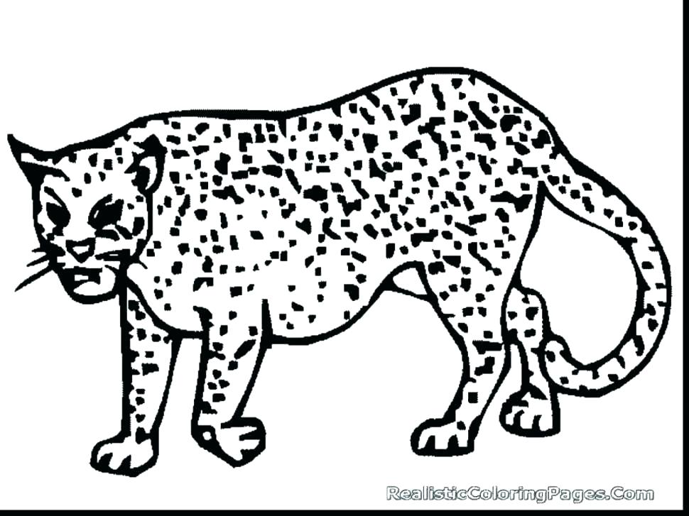 970x727 Coloring Pages Cheetah Cheetah Cub Coloring Page Cheetah Coloring