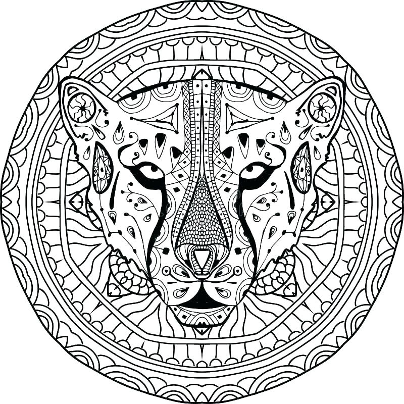 800x800 Cheetah Coloring Pages