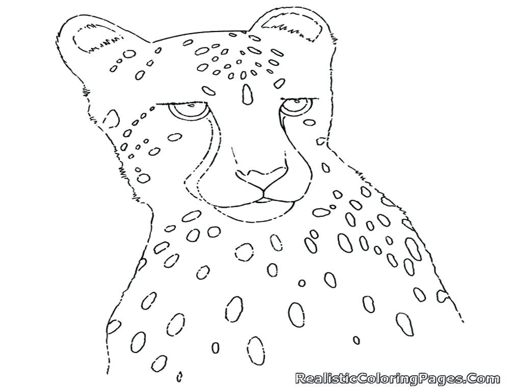 1024x768 Coloring Pages ~ Cheetah Coloring Page Pages For Adults Only