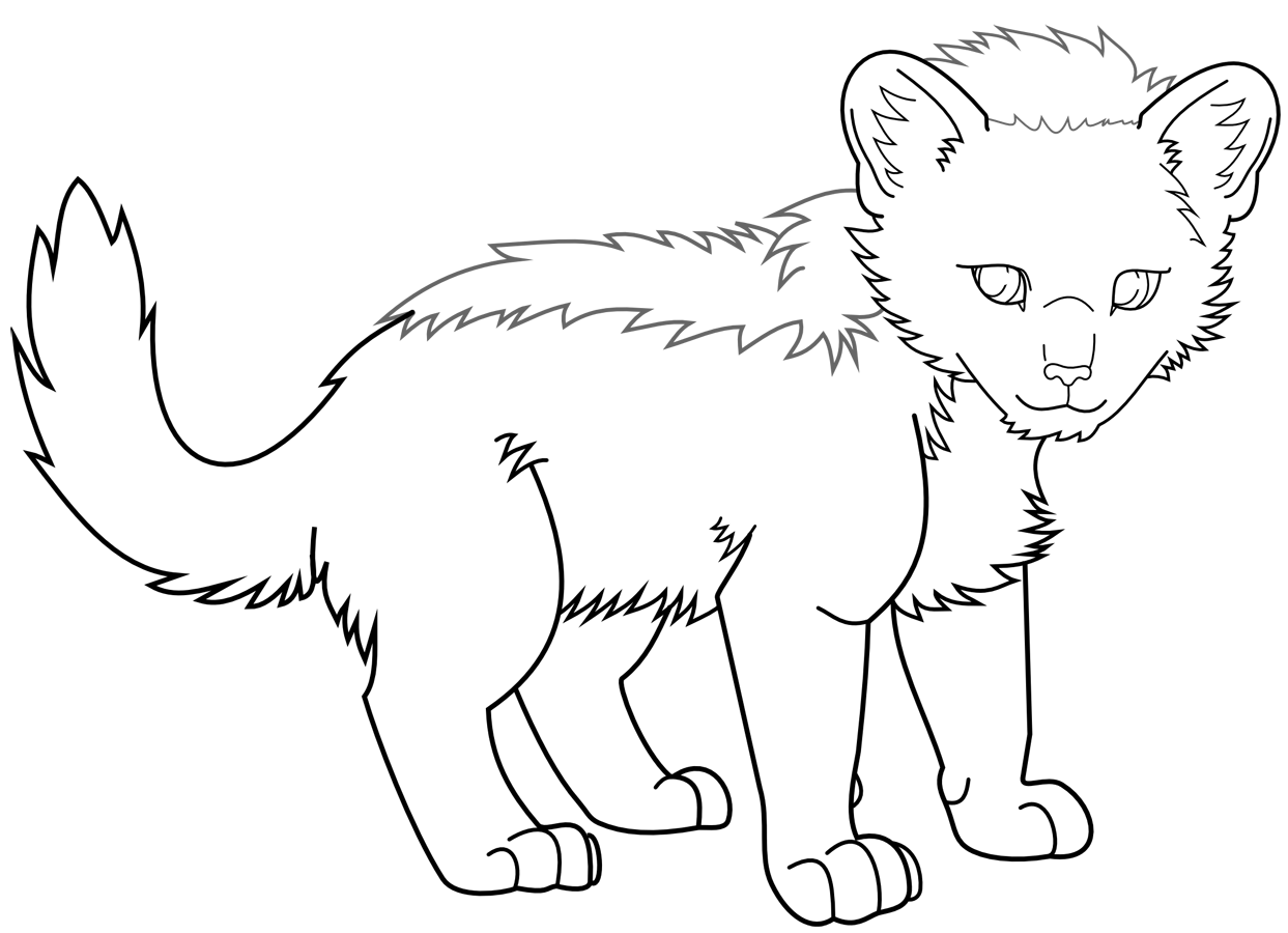 Cheetah Cub Coloring Pages