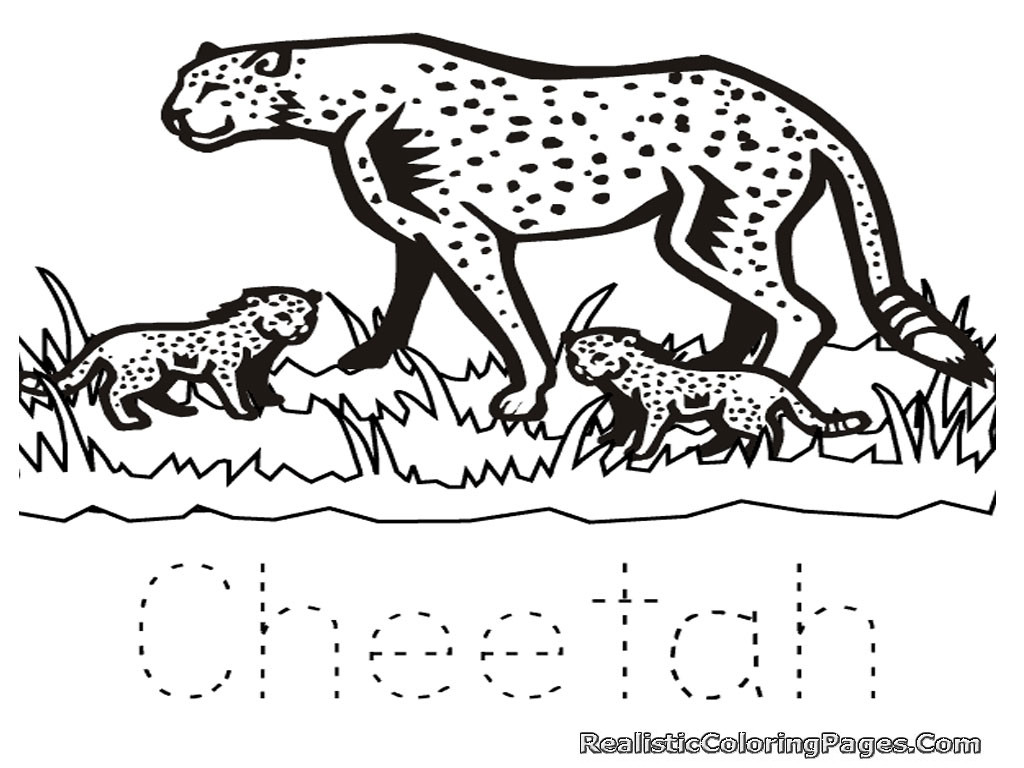 1024x768 Chicago Cubs Coloring Pages Inspirational Most Interesting Free