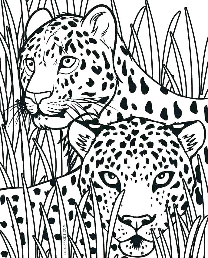 687x850 Coloring Pages Cheetah Wild Coloring Page Cheetah Cubs My Free