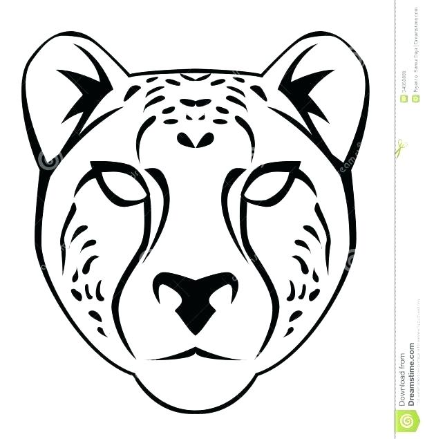 615x635 Drawn Cheetah Coloring Page 9 Pin Pencil And In Color Pages Free