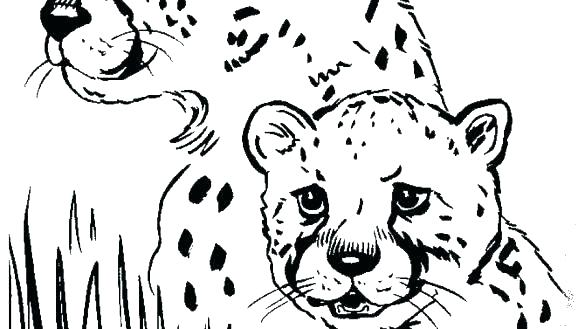 585x329 Printable Baby Cheetah Coloring Pages Page Print Sheets For Kids