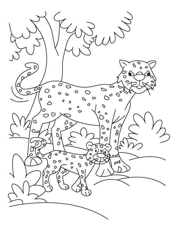 612x792 Cheetah Coloring Pages Cub With Cheetah Coloring Pages Download