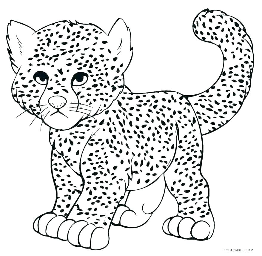 878x857 Cheetah Coloring Pages Coloring Pages Of Cheetahs Coloring Pages