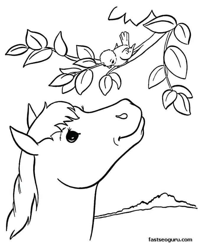 670x820 Cheetah Print Coloring Pages Pictures Of Animals To Print For Free