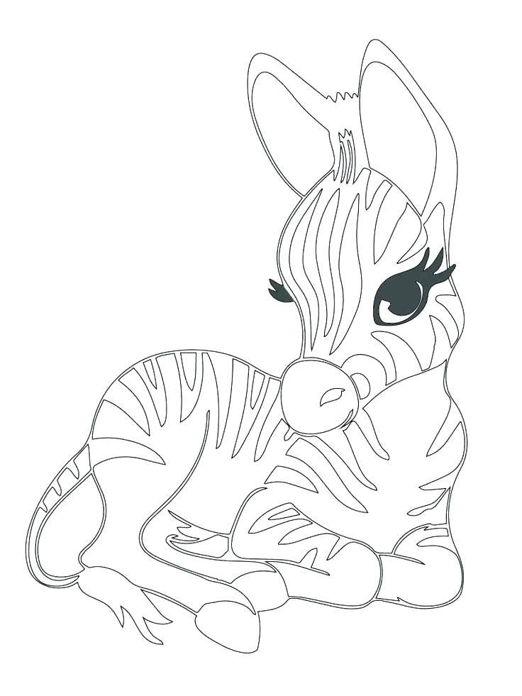736x981 Print Coloring Pages Animals Cheetah Print Coloring Pages Animal
