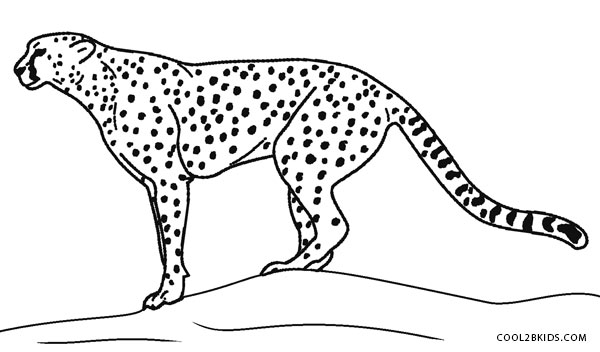 600x352 Printable Cheetah Coloring Pages For Kids Cool2bkids