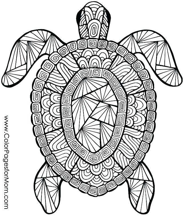 640x755 Printable Pictures Of Animals To Color Animal Print Coloring Pages