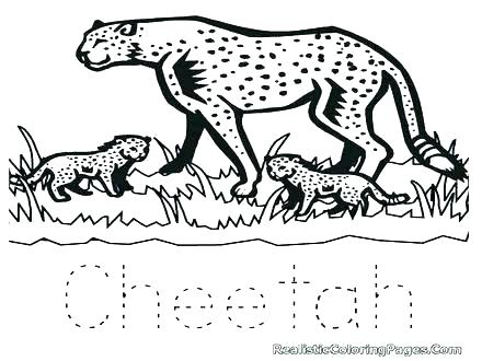 440x330 Cheetah Coloring Page Coloring Pages Cheetahs Coloring Pages