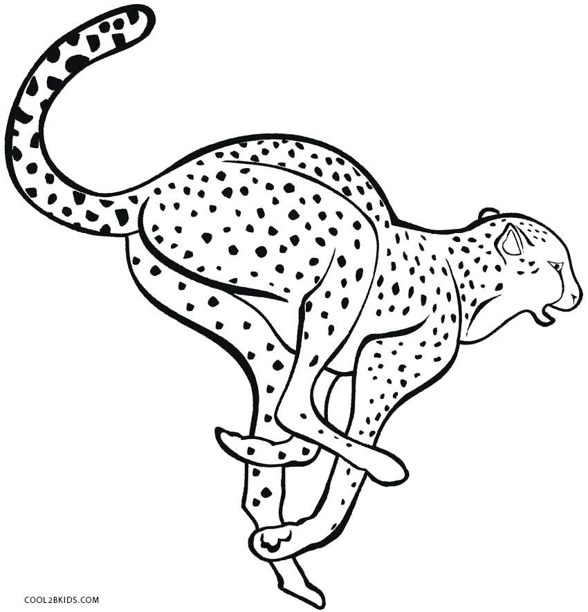 850x885 Cheetah Coloring Pages Cheetah Coloring Page Cheetah Running