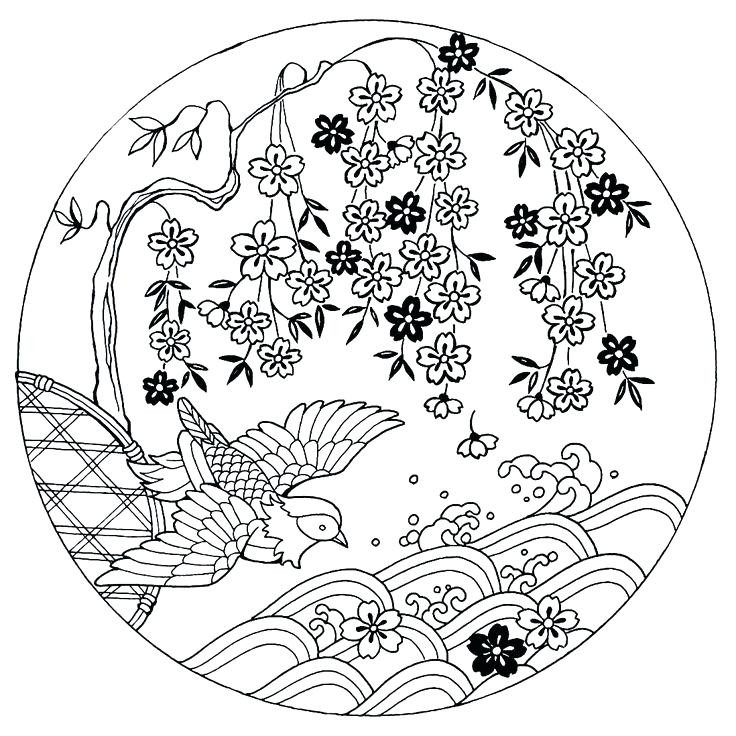 736x736 Cherry Blossom Coloring Pages Beautiful 731 Best Coloring Pages