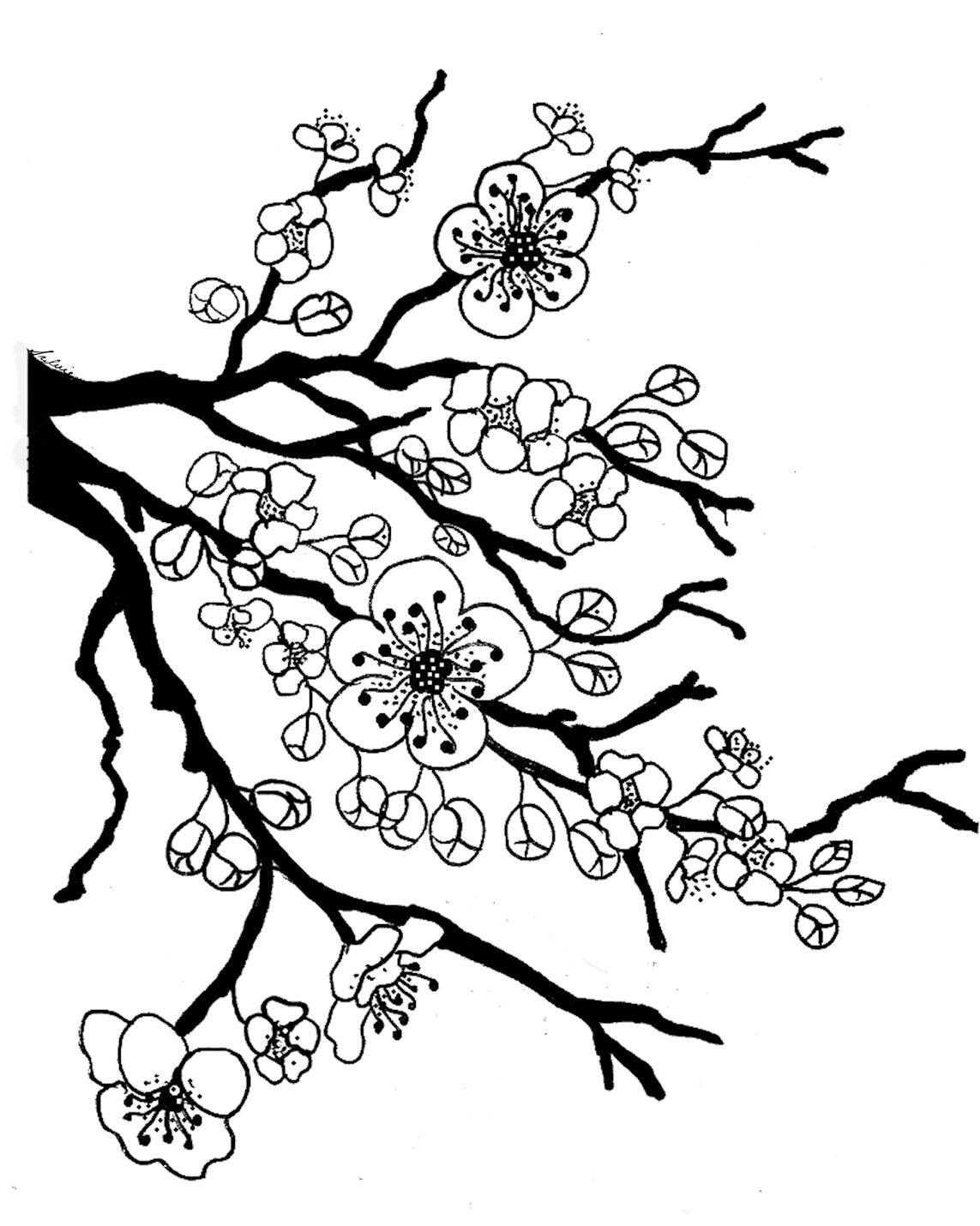 1143x1430 Cherry Tree Blossom Coloring Page Quilts