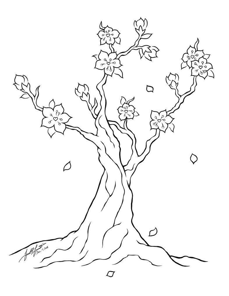 786x1017 Special Cherry Blossom Coloring Page And Pages