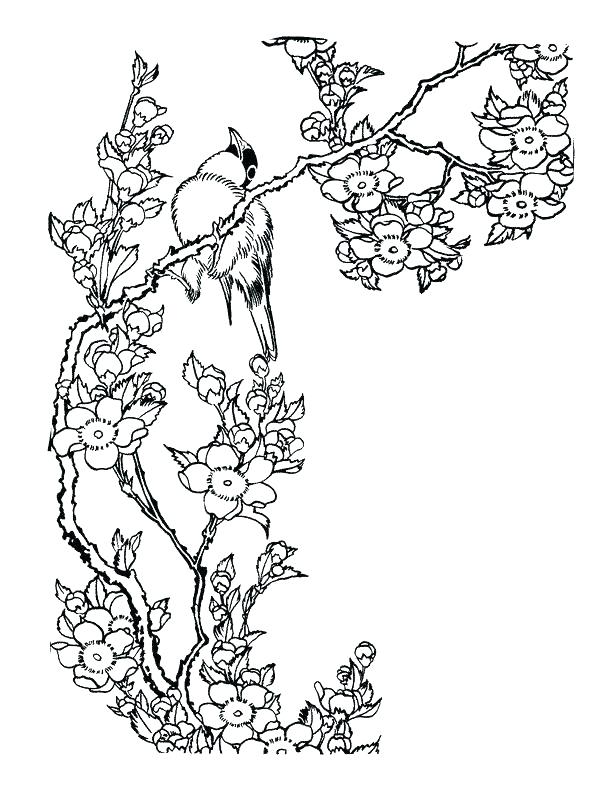 612x792 Cherry Blossom Coloring Pages