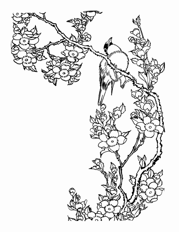 612x792 Cherry Blossom Coloring Page Photos Cherry Blossom Tree Clipart