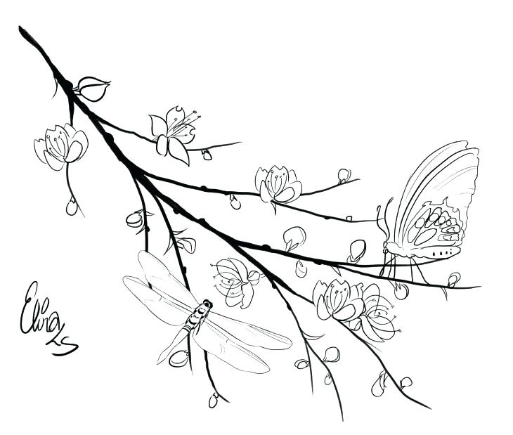 730x619 Cherry Blossom Tree Coloring Page Birds Coloring Pages Cherry