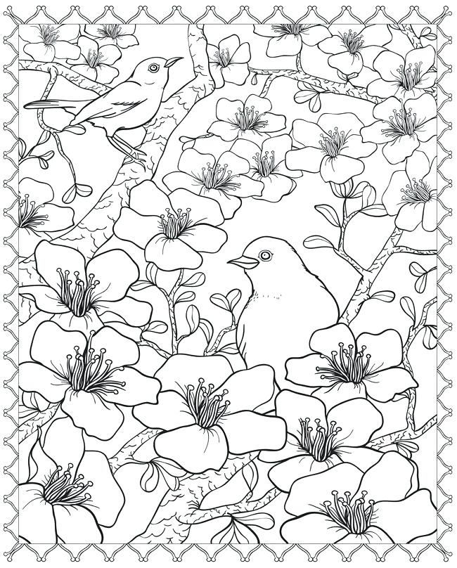 650x808 Cherry Blossom Tree Coloring Page Cherry Blossom Coloring 3