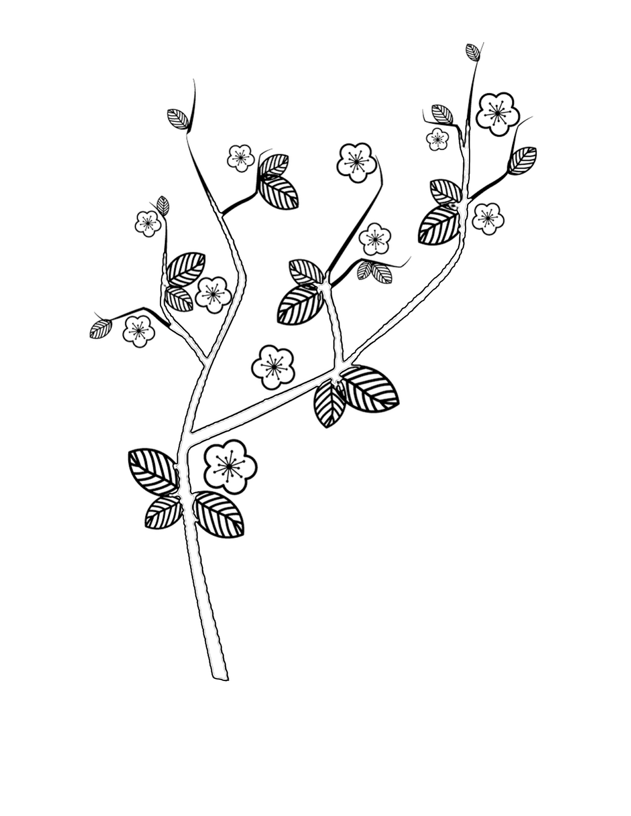 1275x1650 Cherry Blossom Coloring Pages 2