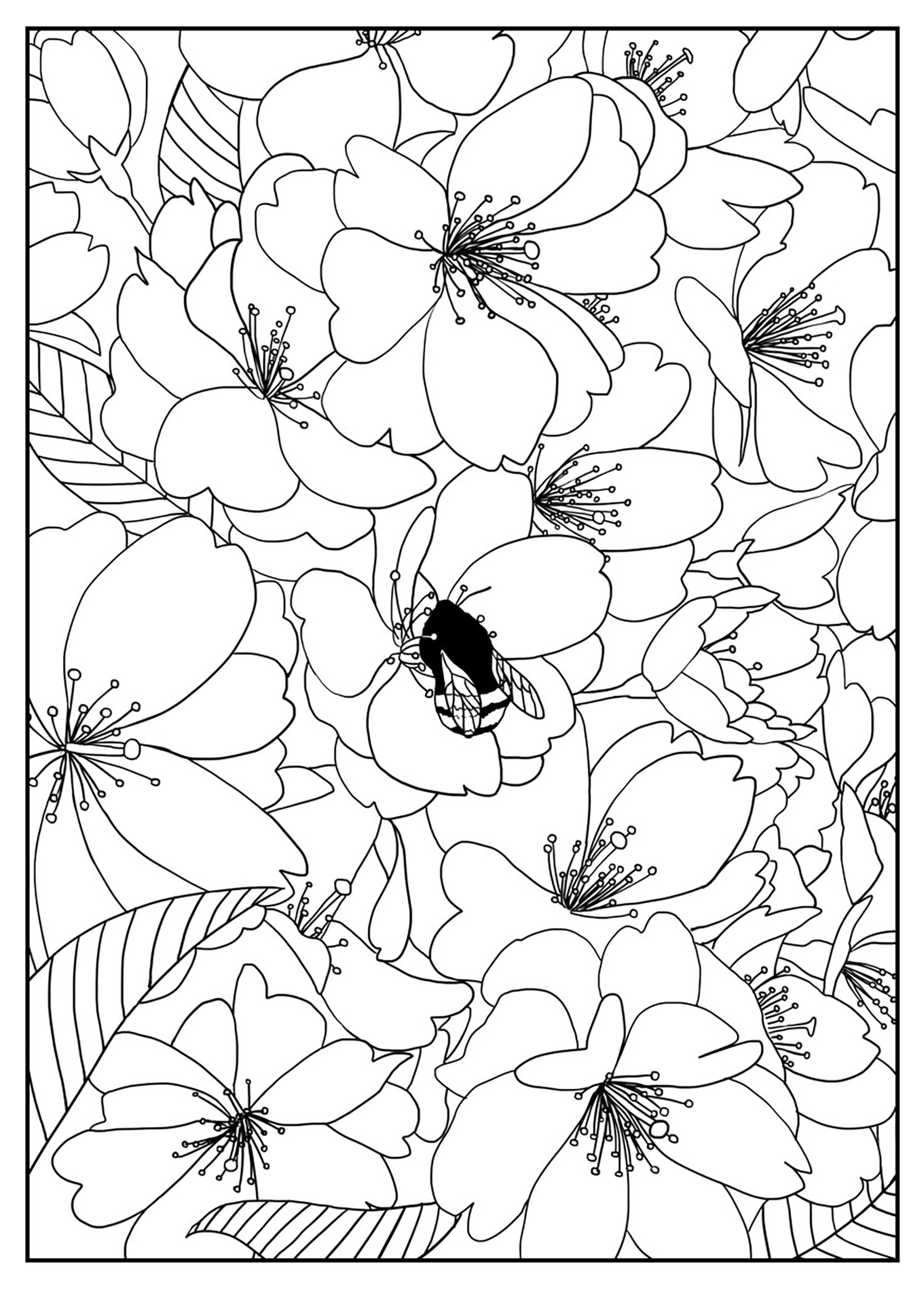1500x2094 Cherry Tree