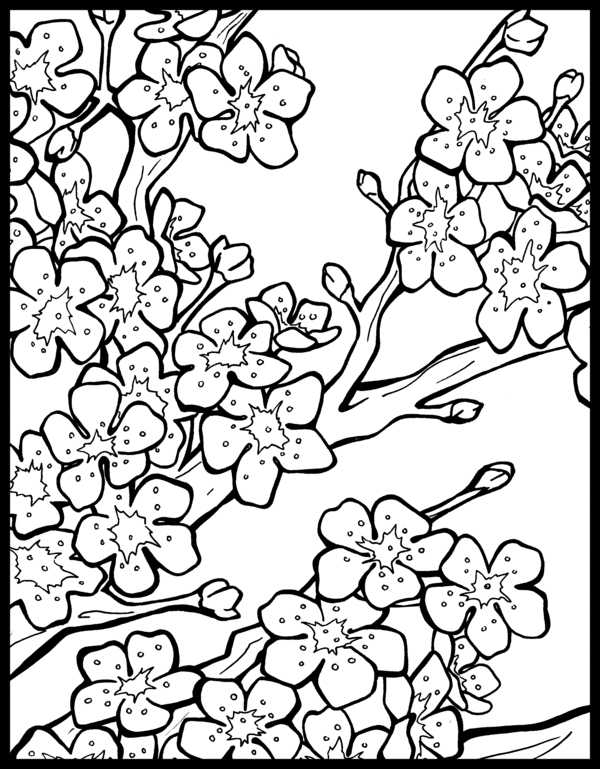 Cherry Tree Coloring Page