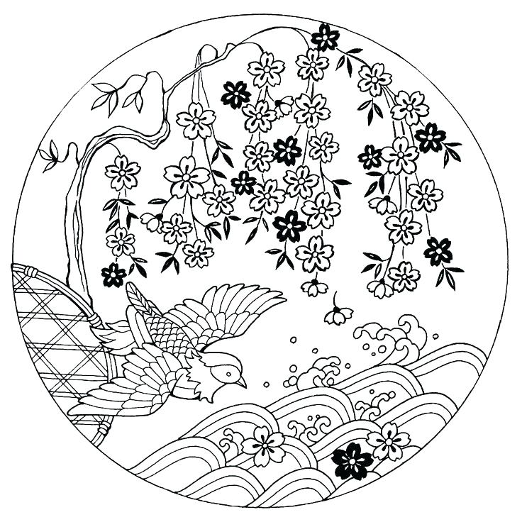 736x736 Cherry Blossom Coloring Pages To Draw A Cherry Tree Step 4