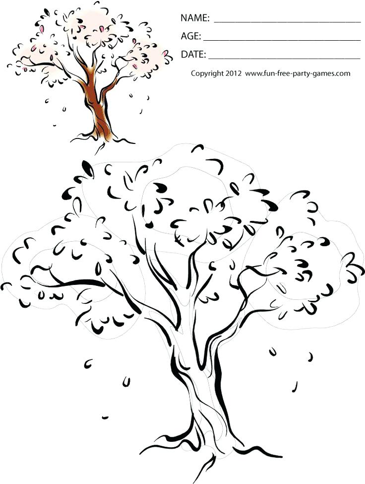 736x975 Cherry Blossom Tree Coloring Page Japan Cherry Blossom Coloring
