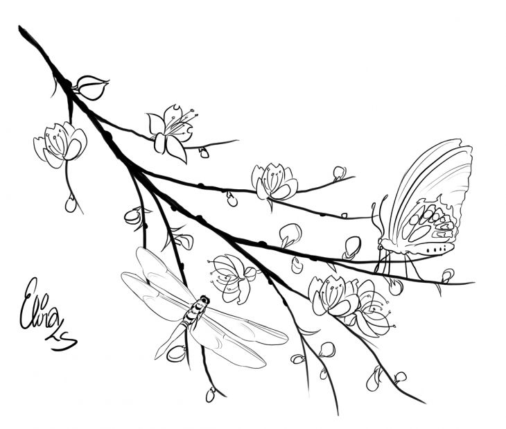730x619 Dragonfly And Butterfly Perching On Cherry Blossom Tree Branch