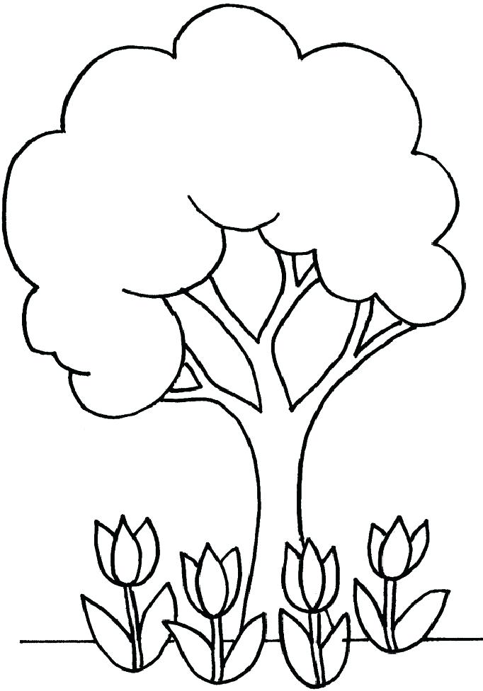 682x976 Tree For Coloring Cherry Tree Coloring Page For Kids And Adults