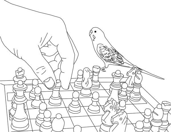 600x464 Parakeet, Playing Chess With Parakeet Coloring Page Needle