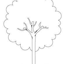 220x220 Chestnut Coloring Pages