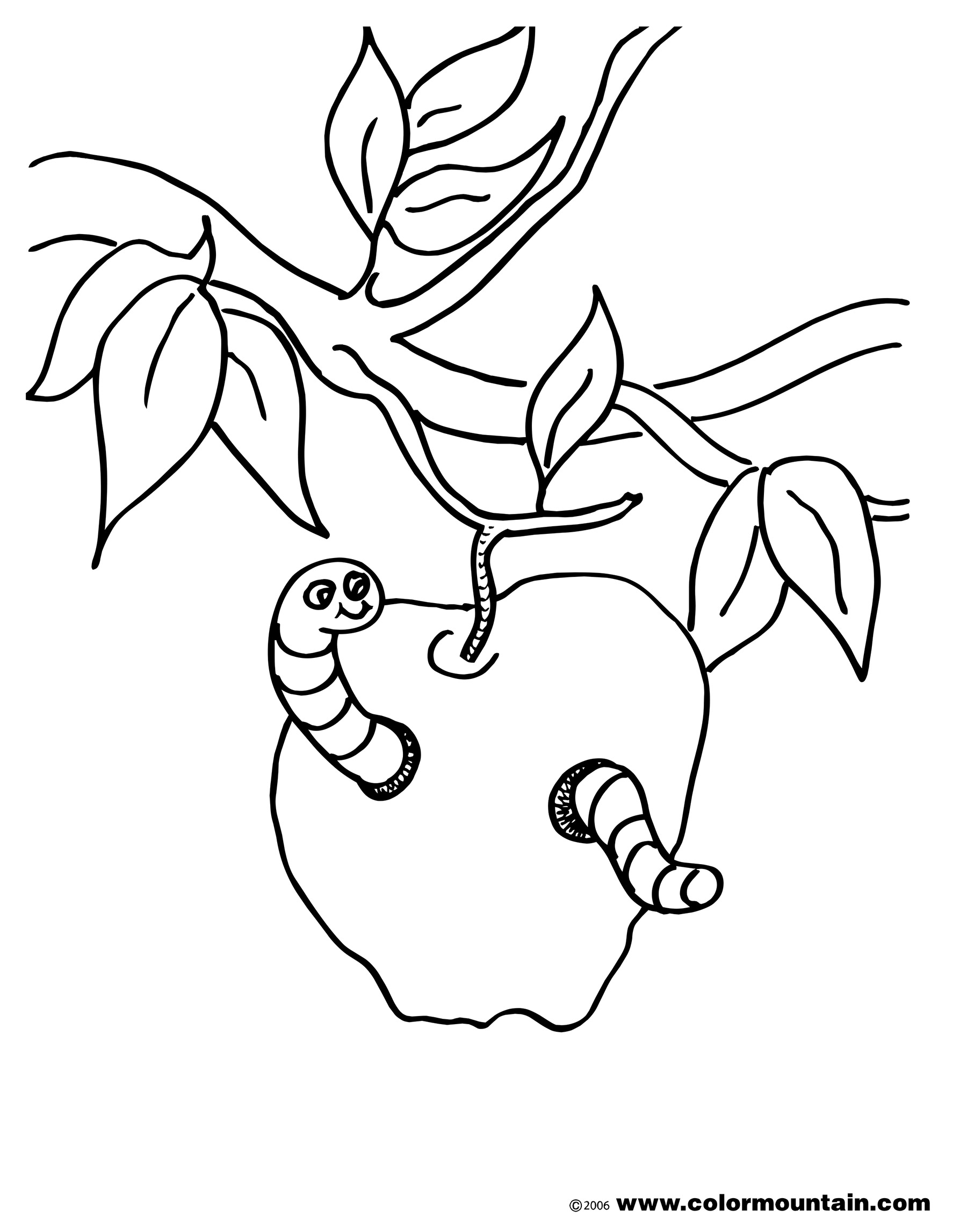 1800x2294 Stencil Of A Tree Outline Clip Art Bare Template Apple Watch Print