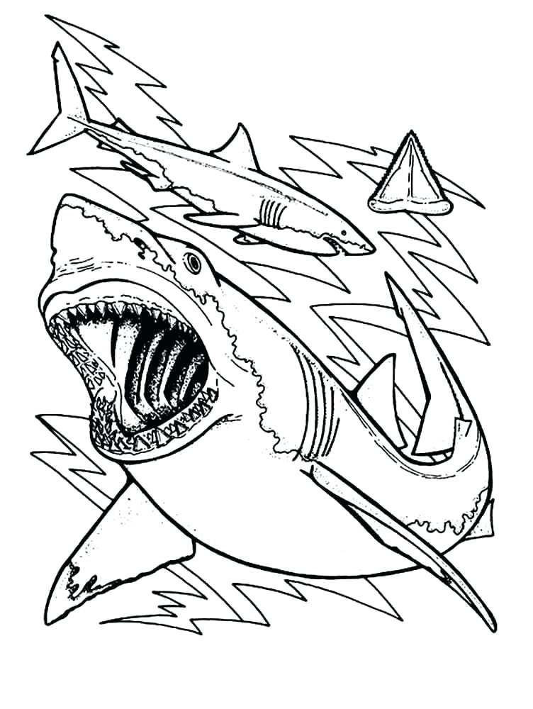 752x1000 Bulls Coloring Sheets Adult Coloring Pages Bison Printable Chicago