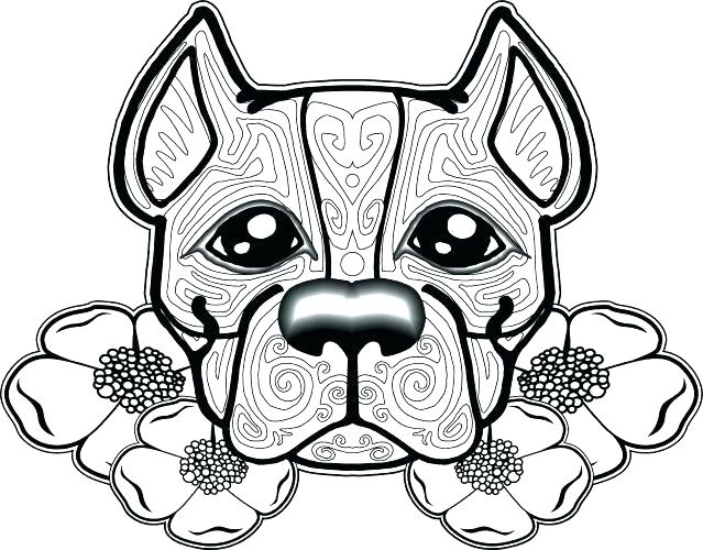 639x500 Chicago Bulls Coloring Pages Bull Coloring Pages Medium Size