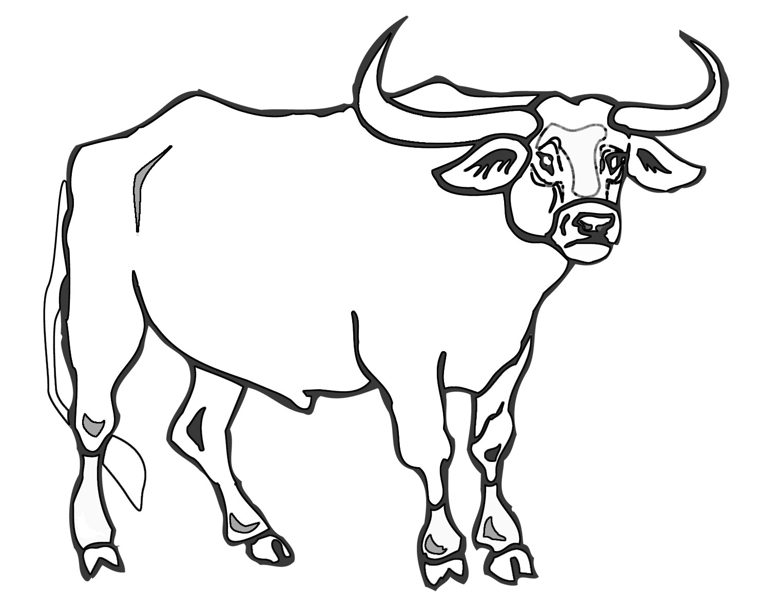 Chicago Bulls Printable Coloring Pages