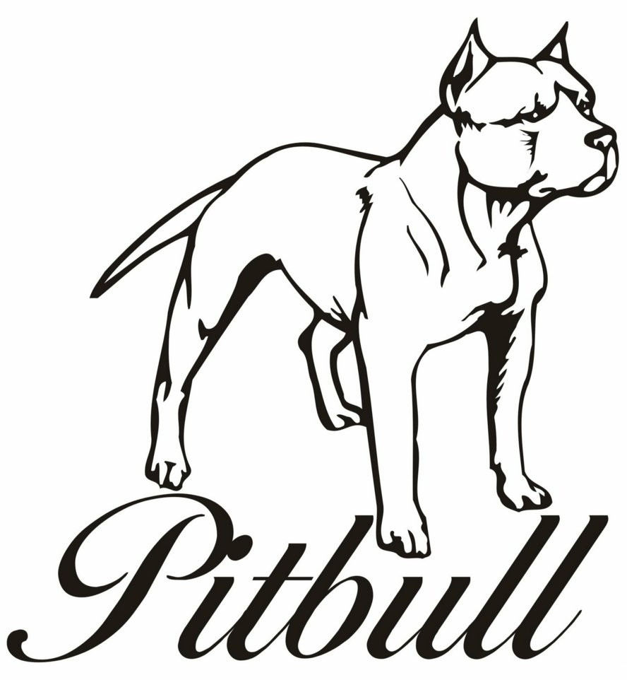 888x962 Chicago Bulls Coloring Pages Best Of Pitbull Coloring Pages