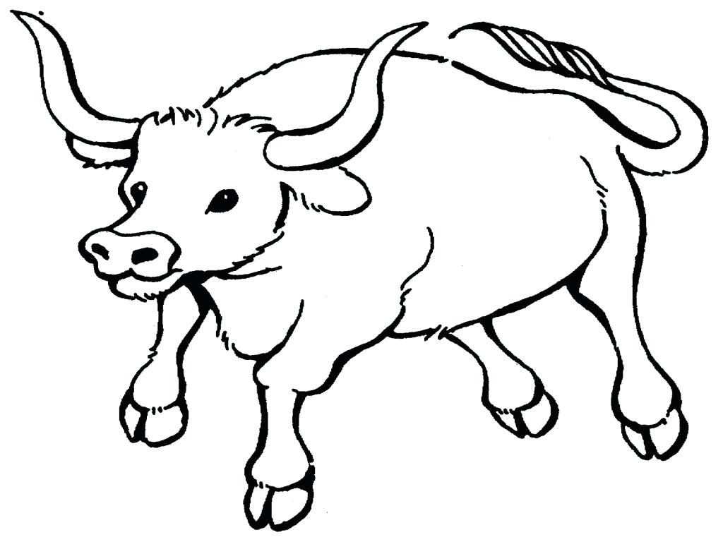 1024x768 Awesome Bulls Coloring Pages Design Printable Coloring Sheet