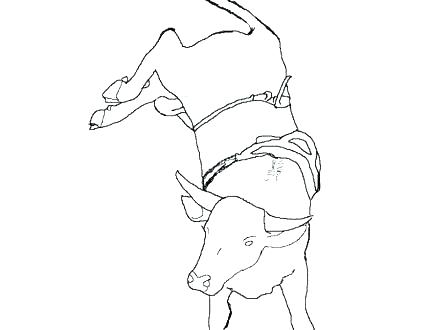 440x330 Chicago Bulls Coloring Pages