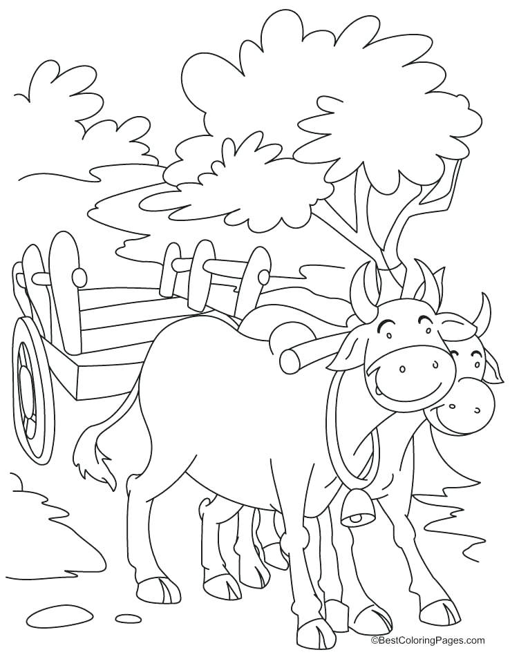 738x954 Bull Coloring Page Bull Coloring Pages Printable Coloring Pages