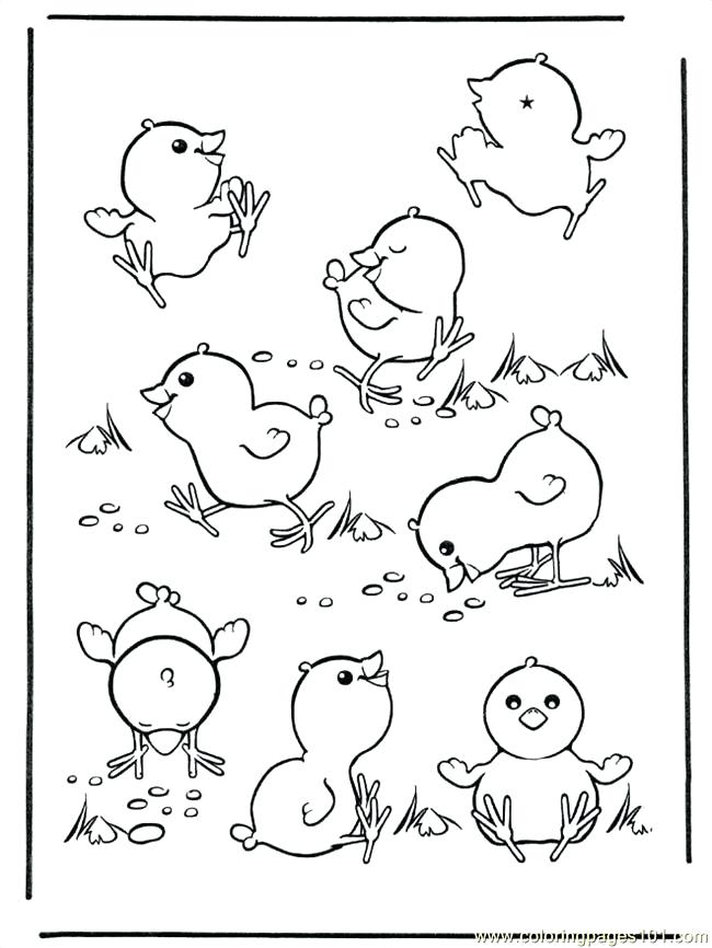650x866 Easter Printable Coloring Pages Baby Chick Coloring Pages