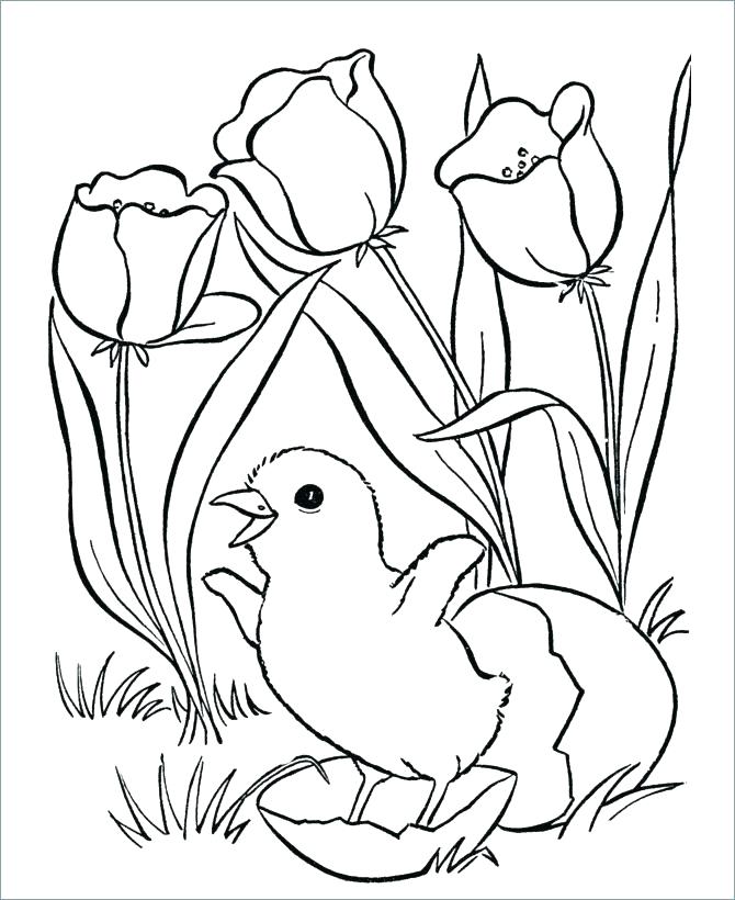 670x820 Free Printable Plump Chicken Coloring Page For Kids Clip Art