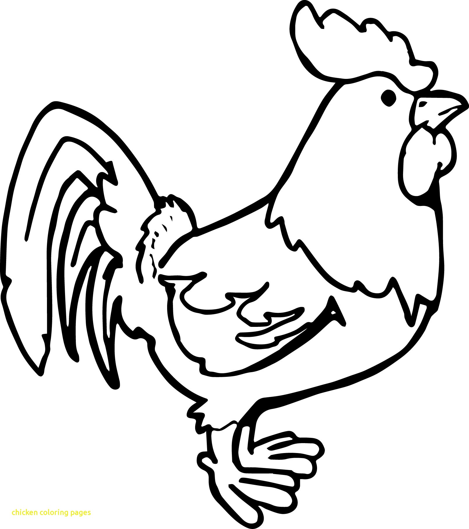 1608x1811 Chicken Coloring Pages With For Kids Page 15 Line