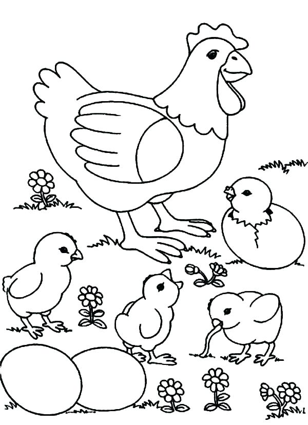 600x828 Coloring Pages Chickens Baby Chick Coloring Pages Chicken Free