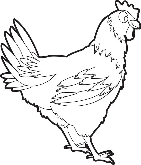 601x700 Realistic Chicken Coloring Pages. Chicken Hen Coloring Page